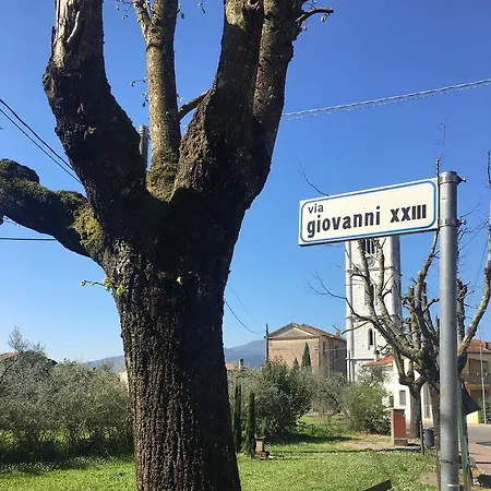Corte Tommasi Orentano